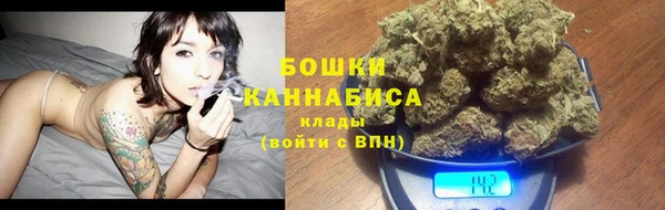 ПСИЛОЦИБИНОВЫЕ ГРИБЫ Белокуриха