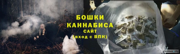 ПСИЛОЦИБИНОВЫЕ ГРИБЫ Белокуриха