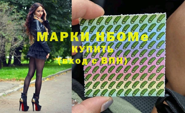 хмурый Сосновка