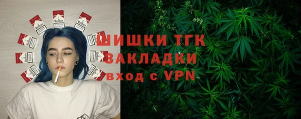 ПСИЛОЦИБИНОВЫЕ ГРИБЫ Белокуриха