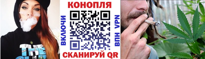 Каннабис индика  Городовиковск 